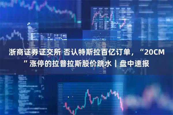 浙商证券证交所 否认特斯拉百亿订单，“20CM”涨停的拉普拉斯股价跳水｜盘中速报